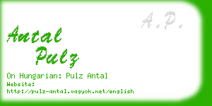 antal pulz business card